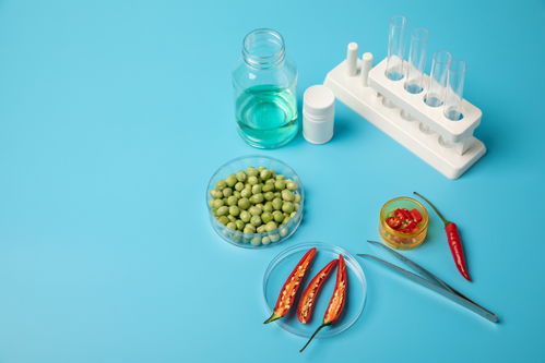 舌尖上的科技革命 辣椒豌豆的绿色盛宴与前瞻视野